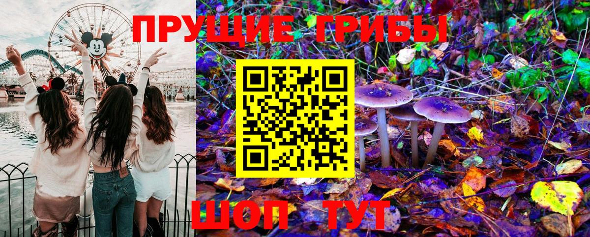 Псилоцибиновые грибы Psilocybine cubensis Красноярск