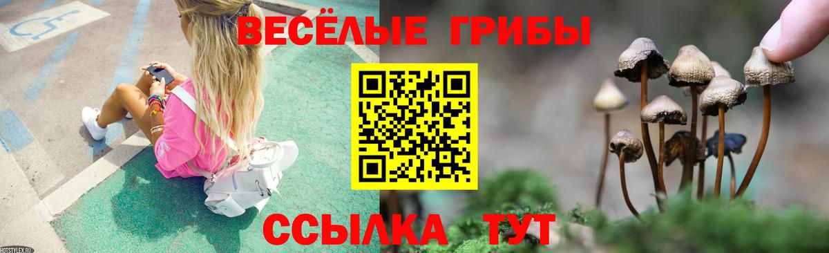 даркнет сайт  Псилоцибиновые грибы прущие грибы  Вход с VPN  Галлюциногенные грибы Cubensis  Красноярск 